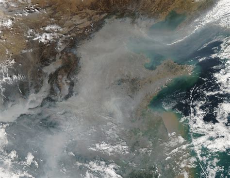 are cfcs banned in china